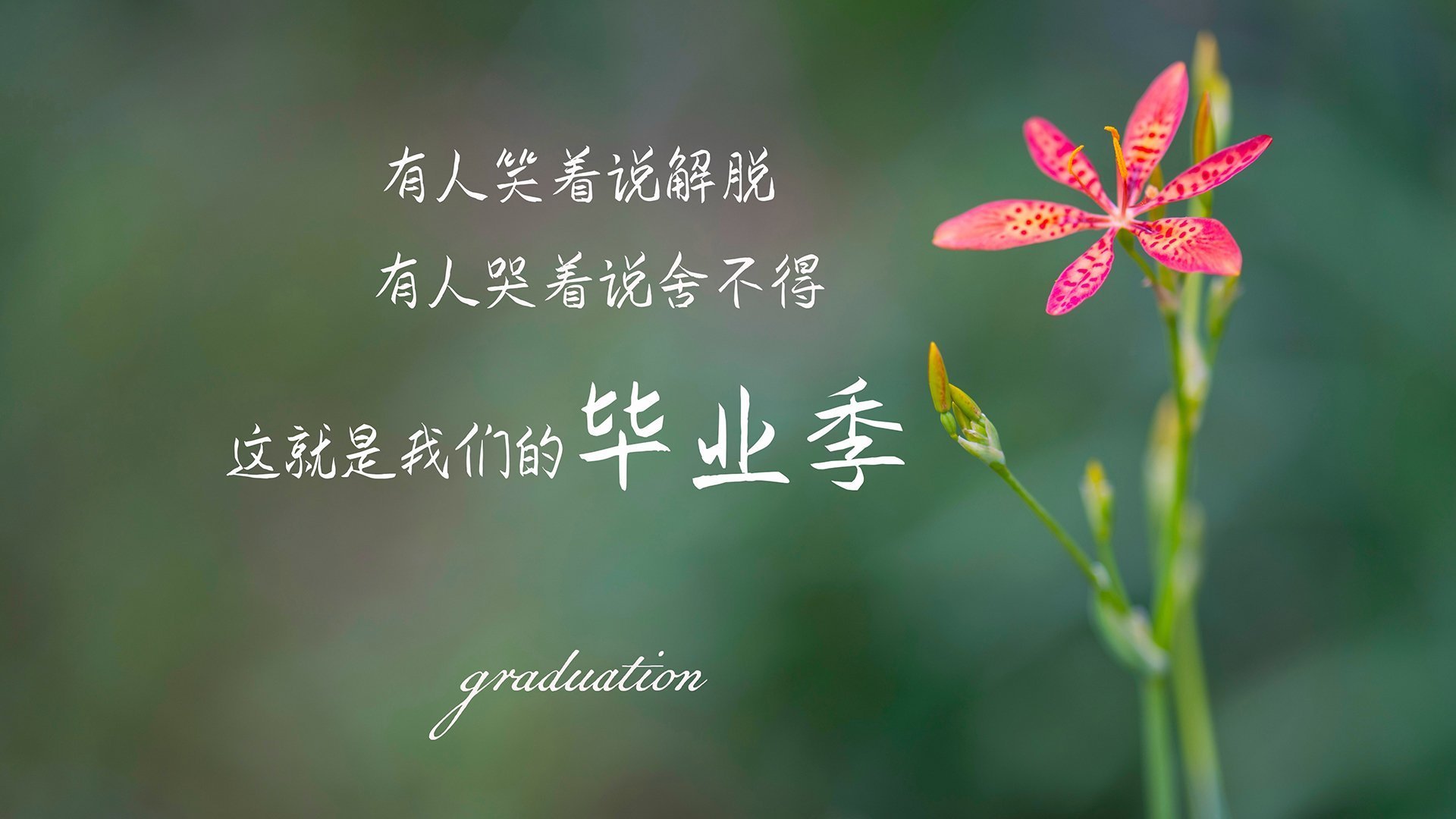 孤帆破巨浪，陶汉林一记绝杀与天津的篮球涅槃