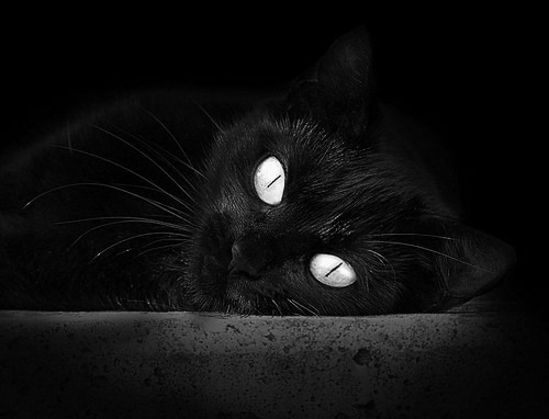 平行时空的硝烟，当奥斯梅恩的名字响彻国家德比之夜