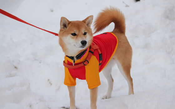 伯纳乌战火中的头狼，京多安扛起全队，铸造西甲德比之夜唯一性
