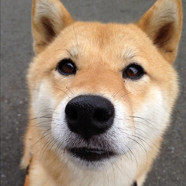 跨时空攻防战，霍勒迪如何成为广东与雷霆对决中的转换核心？