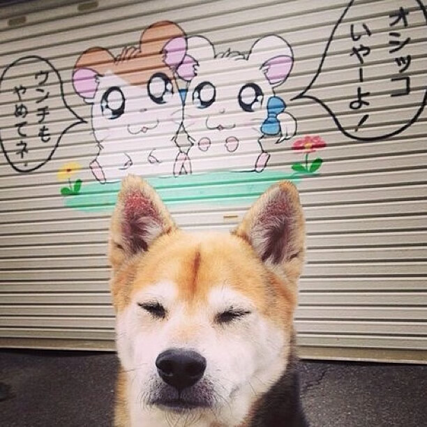 开云体育中国-门将的孤城，当奥纳纳在欧冠中筑起伊拉克强压，多特蒙德的炮火为何突然哑火？