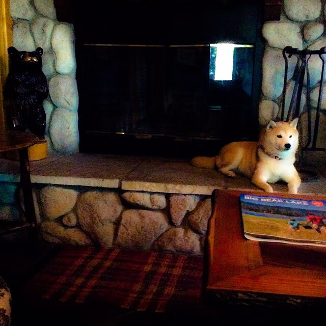 季后赛抢七焦点战，雷霆用一场教科书式的胜利，提前终结悬念与步行者