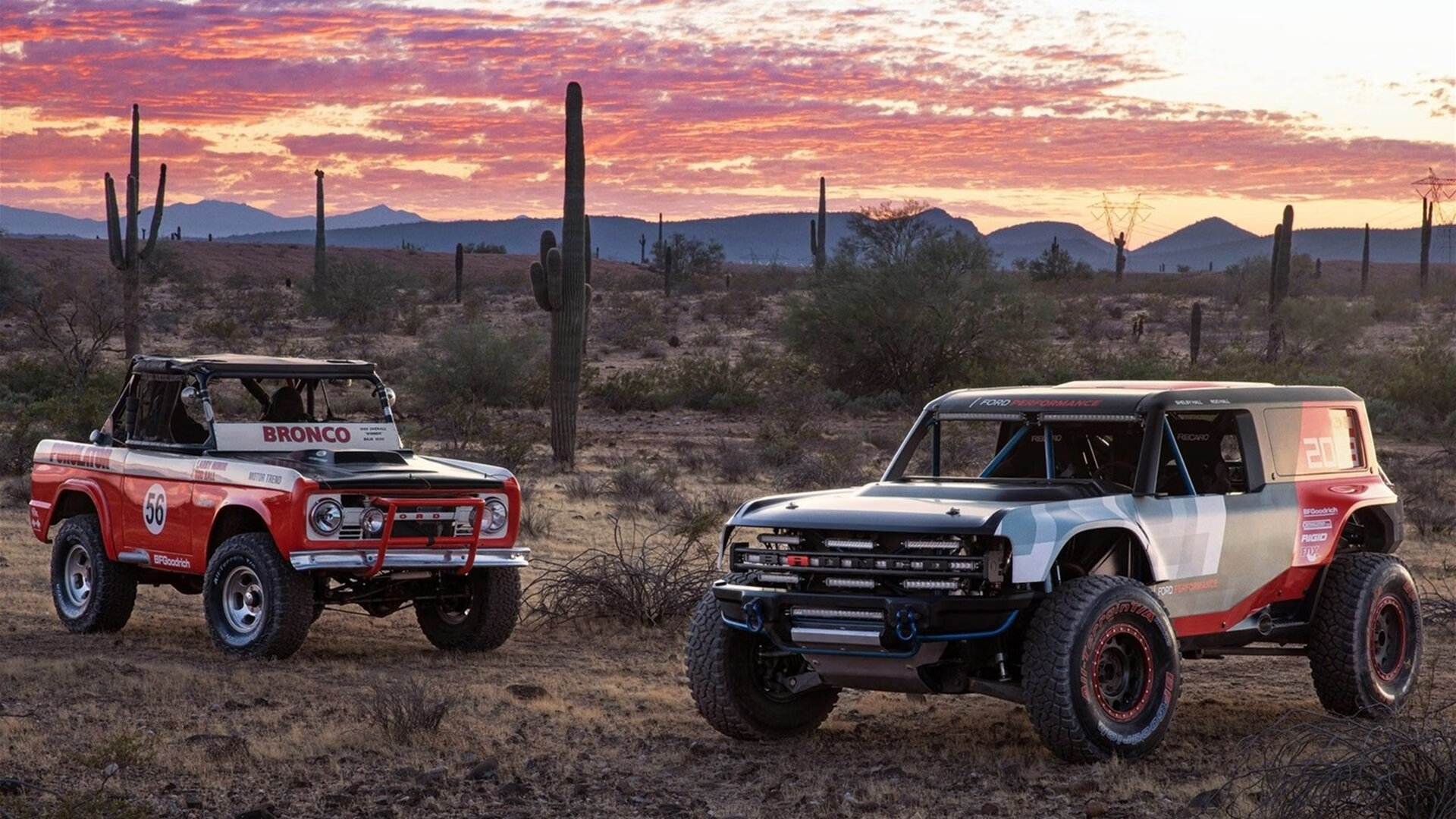 速度与掌控，浙江队闪电战与切特的王者时刻