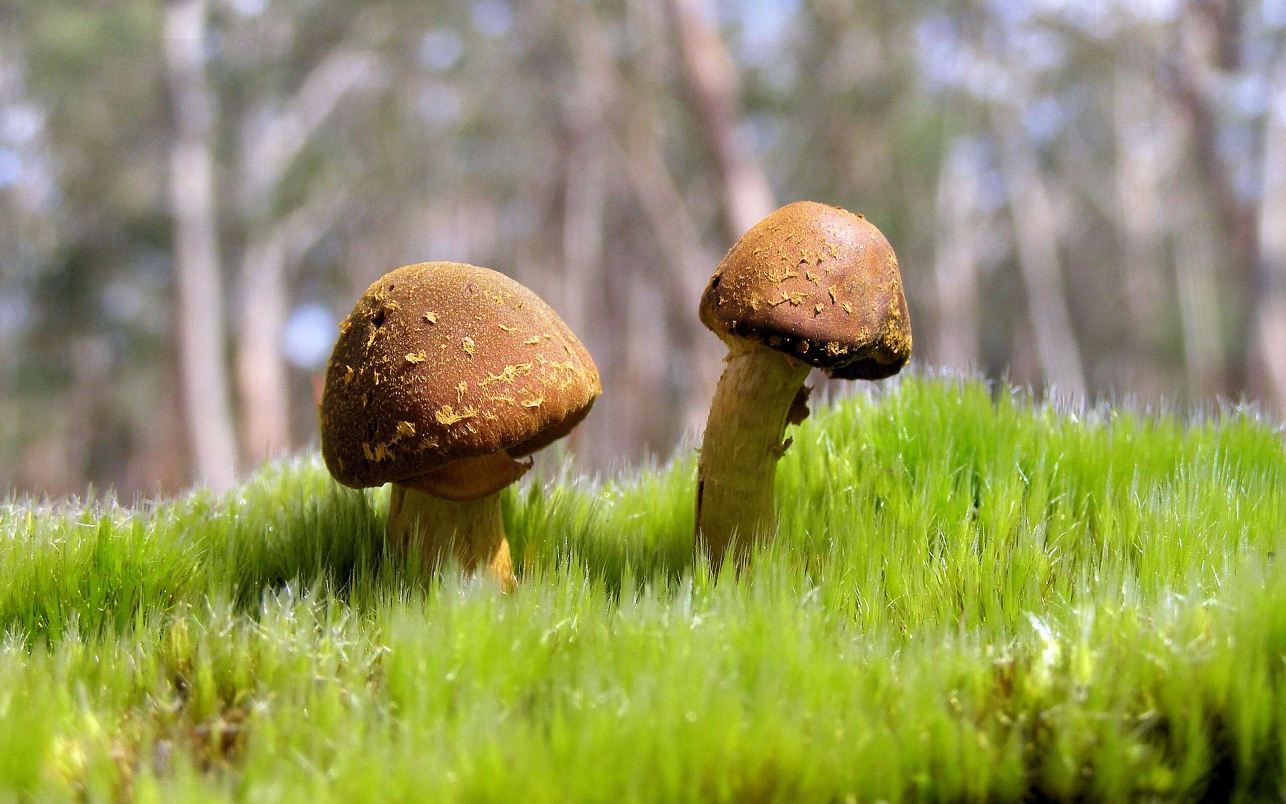 末节12分锁死MVP！坎特用防守终结一个时代