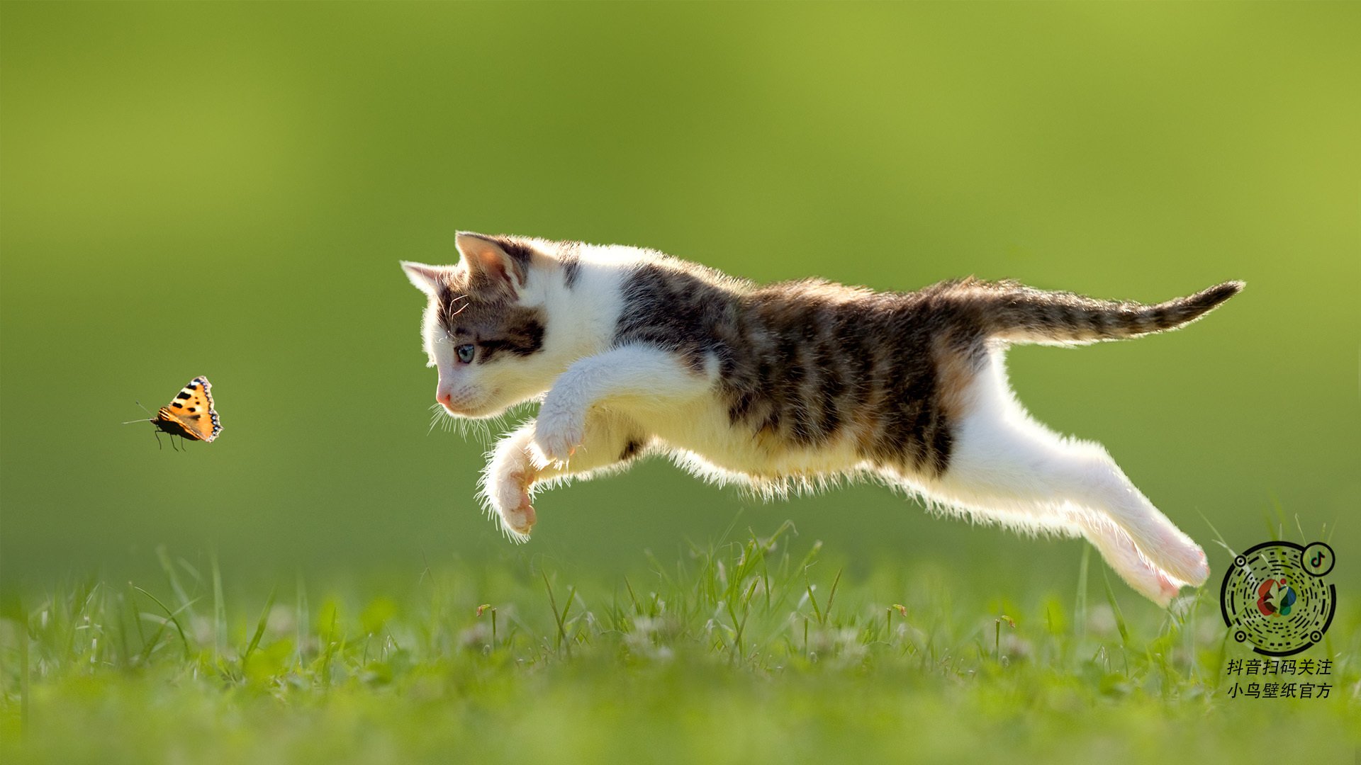 开云体育平台APP-布鲁克林的独舞，当哈登在总决赛废墟上画出三分彩虹