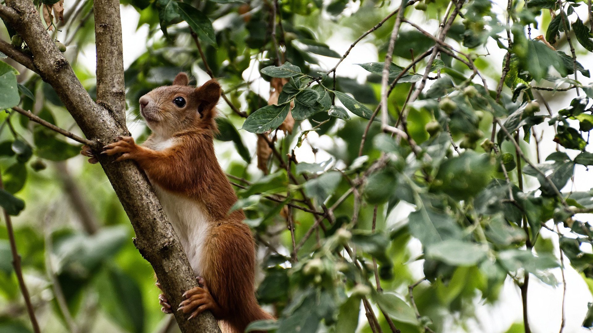西决生死夜，一座名为完美的雕像在废墟中升起