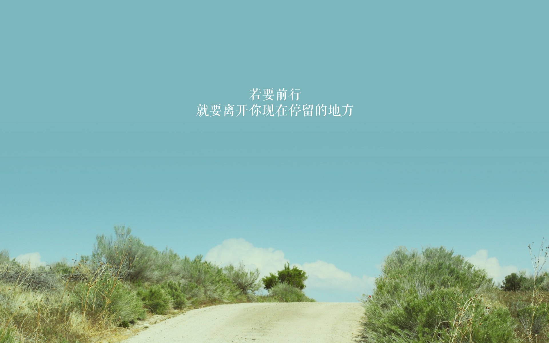 奇迹之夜,2026世界杯A组强强对话,印度逆转罗马尼亚,齐耶赫独造三球闪耀全场